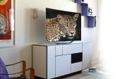 TV OLED LG, L’IMMAGINE PERFETTA